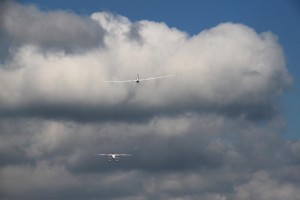 8 - IMG_0156
